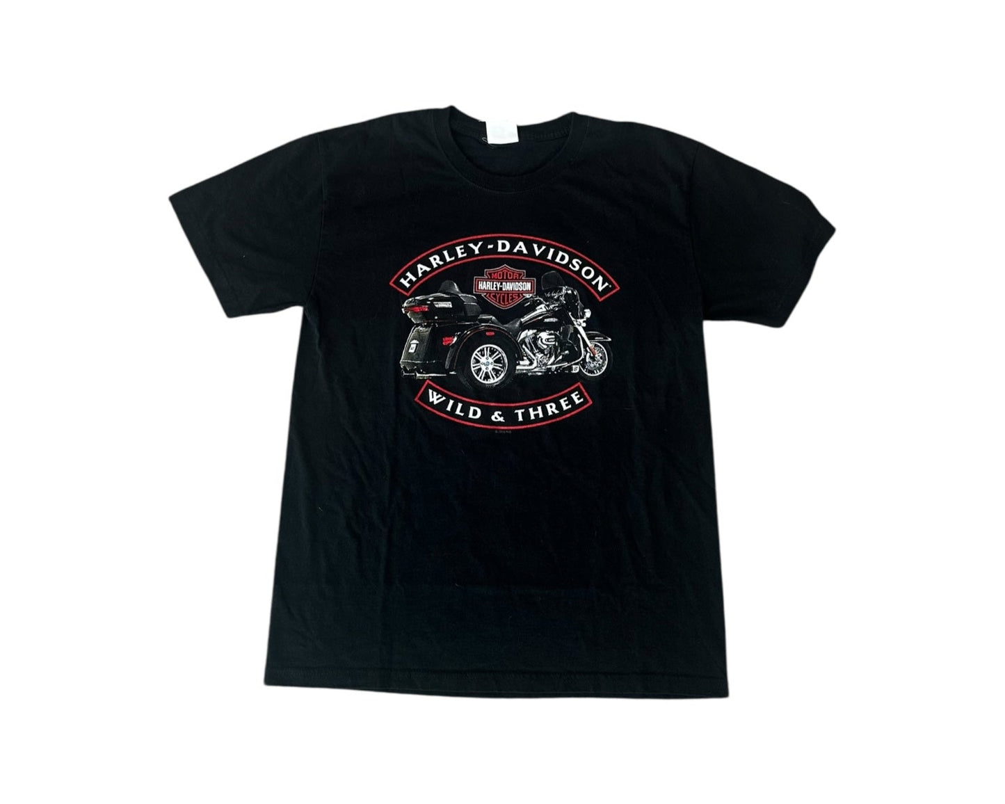 Harley Davidson Michigan T-Shirt